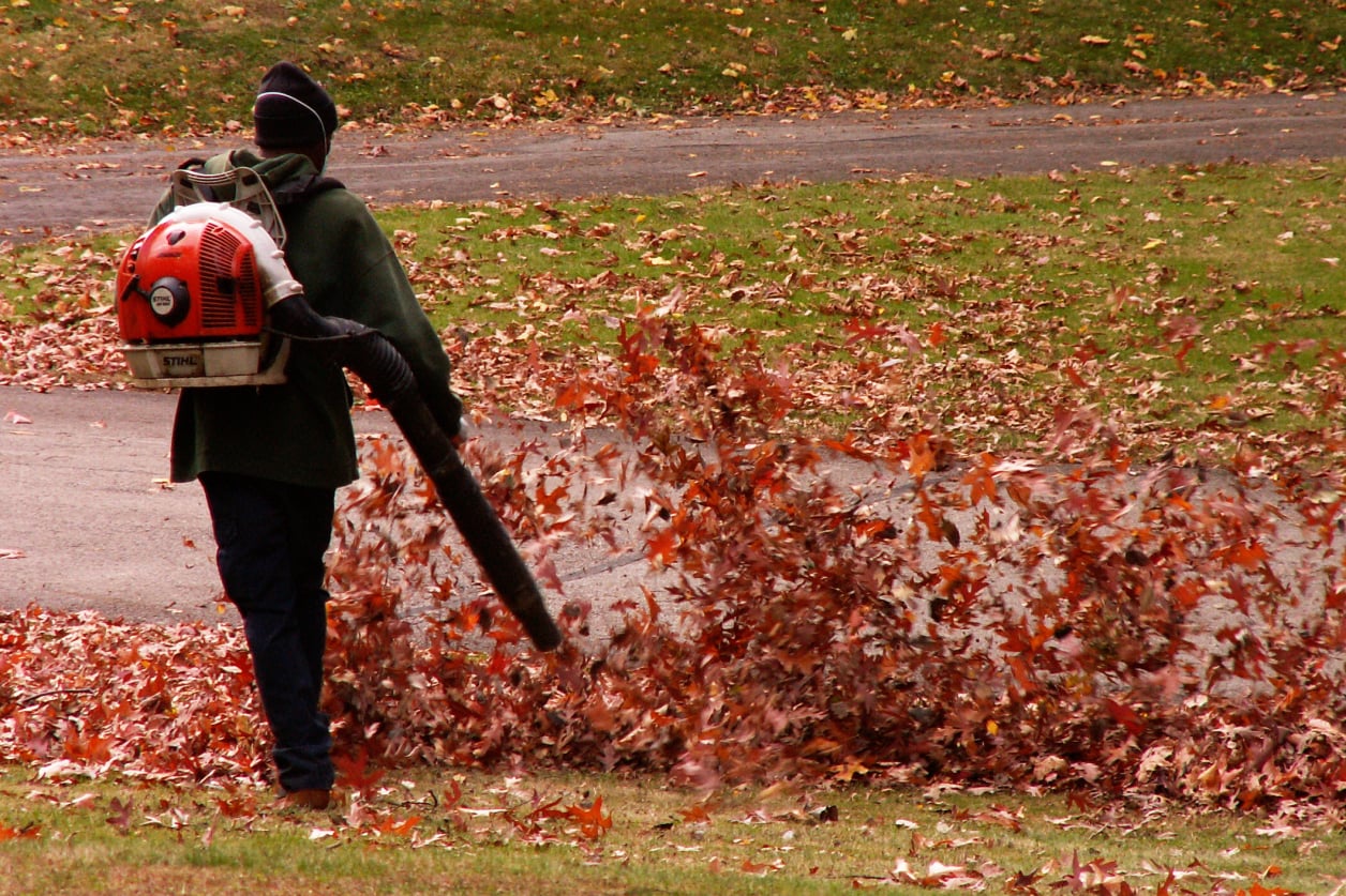 Leaf Blowers